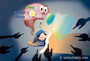 Stress Induces a Kind of Sleep That Helps Relieve Anxiety