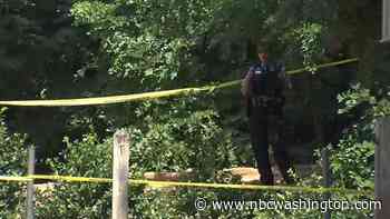 Woman Found Dead in Woods Behind Woodbridge Convenience Store - NBC4 Washington
