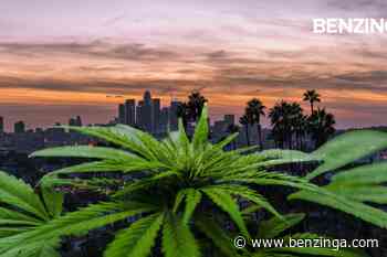 CA Update: Scott Wiener's Safe Consumption Sites Pass Assembly, Bill To Remove Marijuana Grow Tax Heads T - Benzinga
