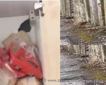 Darwen couple's horror as rats eat through their home
