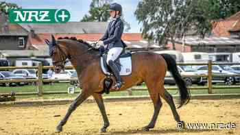 Dressurtage steigen beim RV Kattenhorst Hamminkeln-Töven - NRZ News