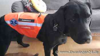 Hund in Jena trägt wichtiges Kleidungsstück – nicht anfassen! - Thüringen24