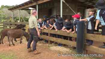 FLOOD AFFECTED STUDENTS SWAP CLASSROOMS FOR OUTDOOR EDUCATION AT SUMMERLAND FARM - nbnnews.com.au