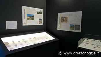 L'archeologico di Bibbiena inaugura nuova sala su Medioevo - ArezzoNotizie