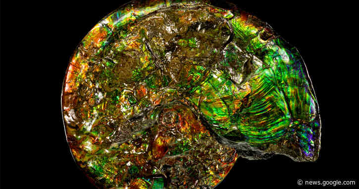 Life Helps Make Almost Half of All Minerals on Earth - Quanta Magazine