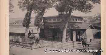 Glosse: Mit ehemaligen Öcher Zoo-Elefanten für die Aachener Gegenwart werben