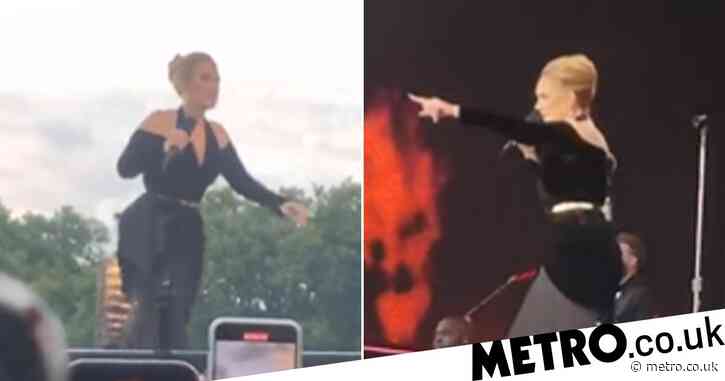 Adele fans have ‘mad respect’ for star after she stops Hyde Park gig to help audience member in distress