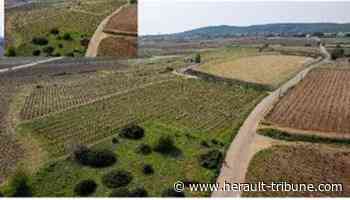 Frontignan : les futurs travaux sur le réseau fluvial - Hérault Tribune