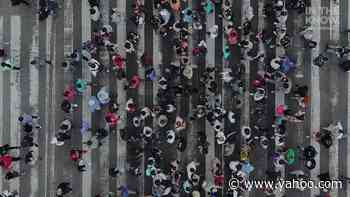 This company is using vertical farming in Los Angeles to help solve food challenges created by rising population - Yahoo Life