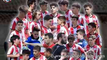 El Infantil del Zamora CF jugará en Regional - La Opinión de Zamora