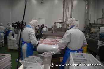 Una empresa líder de Zamora busca trabajadores: “No es necesaria experiencia” - Zamora 24 Horas