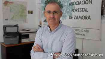 “Tras el incendio de la Culebra hay que diversificar y no depender solo de la madera del pino” - La Opinión de Zamora