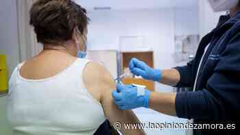 Nuevo calendario de vacunación contra el COVID en Zamora: consulta fechas oficiales - La Opinión de Zamora