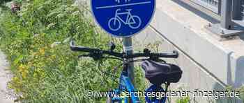 Bad Reichenhall: Bund Naturschutz sammelt Unterschriften beim Stadtfest - Berchtesgadener Anzeiger