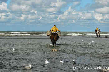 Vastgoed in Koksijde en Oostduinkerke: tweede verblijf als werkplek - Trends