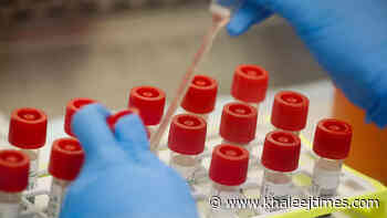 Coronavirus: UAE reports 1,796 Covid-19 cases, 1,727 recoveries, no deaths - Khaleej Times