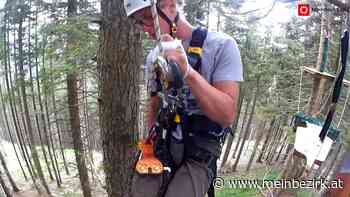 Semmering: Alleinstellungsmerkmal Millennium Jump - Neunkirchen - meinbezirk.at