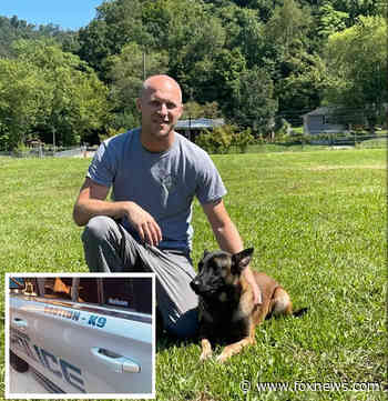 Kentucky police shooting: 3 officers, police K9 dead following shootout at suspect's home