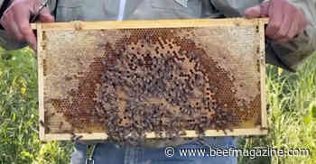 This Week in Agribusiness, July 2, 2022