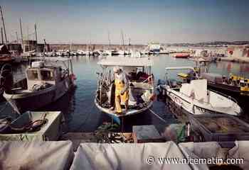 La baignade de nouveau autorisée au Cros-de-Cagnes