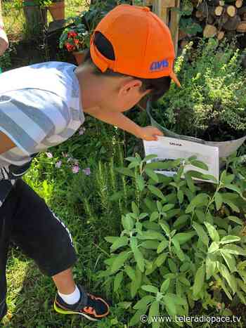 100mila euro dei fondi PON all'Istituto comprensivo di Rapallo - Teleradiopace