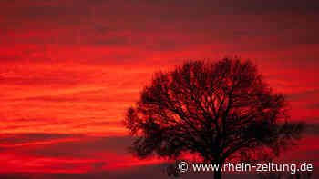 Veranstaltungsreihe: Sterben und Tod als Teil des Lebens - Rhein-Zeitung