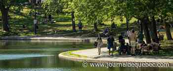 Du beau temps à Montréal pour la fin de semaine