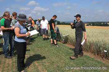 Warum Landwirte im Vogtland mehr Hafer anbauen sollen - freiepresse.de