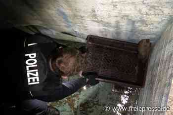 Netzschkau: Stacheliger Einsatz für die Polizei - freiepresse.de