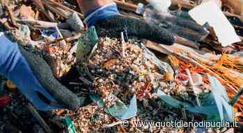 Greenpeace, esposto in Procura: l'inquinamento da microplastiche parte da Brindisi - quotidianodipuglia.it
