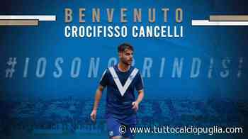 UFFICIALE - Brindisi, dal Nardò arriva Cancelli - TuttoCalcioPuglia.com