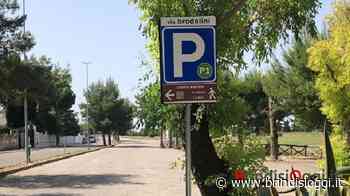 Servizio navetta per raggiungere il centro della città, attivo da oggi - BrindisiOggi