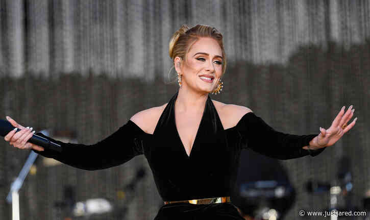 Adele Looks Gorgeous While Performing Her Hyde Park Concert in London (Photos)