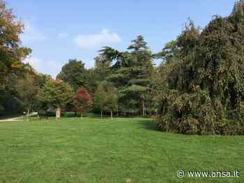 Tenta di stuprare una donna nel Parco di Monza, in fuga - Agenzia ANSA