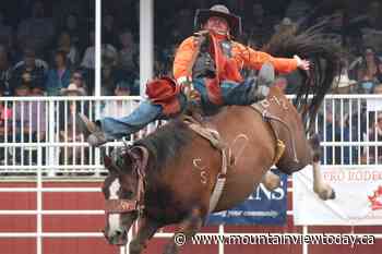 Sundre Pro Rodeo promises plenty of adrenalin-packed thrills and spills - Mountain View TODAY