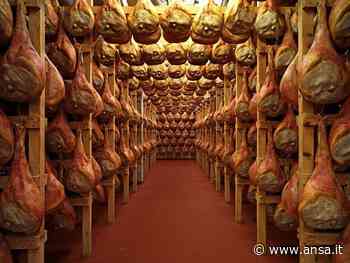 Stabilimento ex Principe verso chiusura a Trieste, 49 a casa - Agenzia ANSA