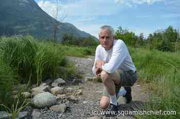 This popular Squamish Estuary trail can't be improved. Here's why. - Squamish Chief