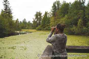 Whistler will be added to BC Bird Trail this fall - Pique Newsmagazine