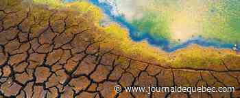 Italie: face à la sécheresse, Vérone rationne l'eau potable