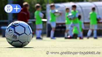 61 Kinder nehmen an 96-Fußballschule in Lindau teil - Göttinger Tageblatt