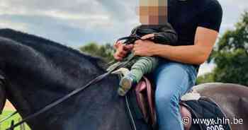 Paardenfraudeur uit Arendonk blijft aangehouden en blijkt rol te hebben gespeeld in moordzaak - Het Laatste Nieuws