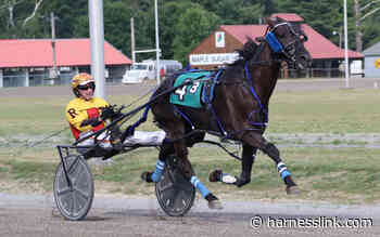 Ranger triples including Cumberland feature - Harnesslink