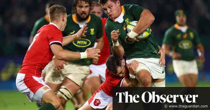 South Africa beat dogged Wales with last kick of game in 32-29 thriller