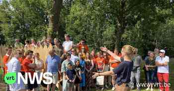 Vier nieuwe uitkijkplatformen in Brecht, Kalmthout, Stabroek en Wuustwezel om er het landschap te bewonderen - VRT NWS