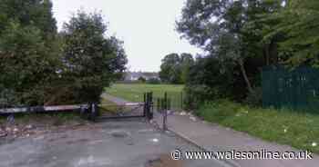 Police appeal after man found dead in Cardiff park