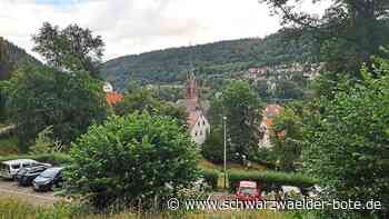 Calwer Kleinod - So könnte der Stadtgarten künftig aussehen - Schwarzwälder Bote