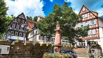 Denkmal Calw - Kann und soll die Stadt als Ganzes geschützt werden? - Schwarzwälder Bote