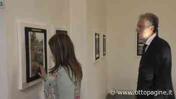 Unione Italiana Ciechi e Ipovedenti. Lunedì a Benevento il Consiglio regionale - Ottopagine