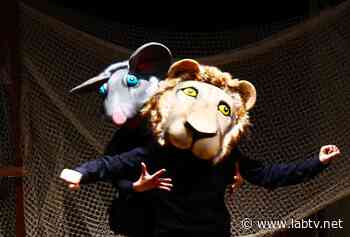 Benevento| 'Il Paese dei sogni', ultimo appuntamento con 'La cicala, la formica e...' - Lab TV Lab TV - LabTV