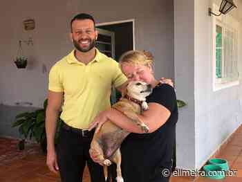 Tutora de Limeira reencontra a cachorrinha, após 3 anos desaparecida - eLimeira